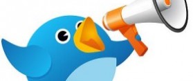 How to Find Businesses in Dubai on twitter.com