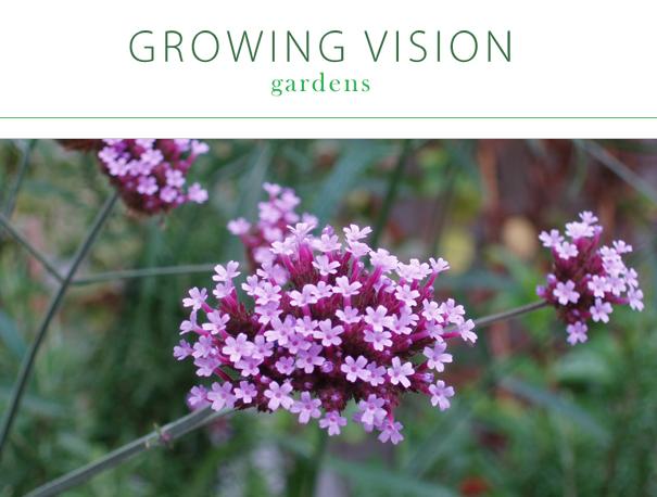 Growing Vision Gardens LTD