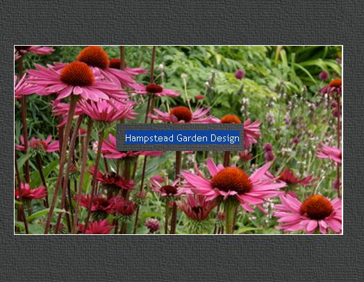 Hampstead Garden Design