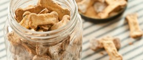 Apple Dog Biscuits
