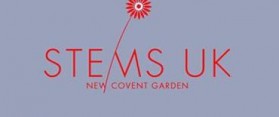Stems UK london