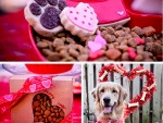 Valentine Dog Treats