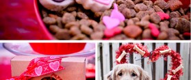 Valentine Dog Treats