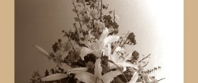 Valentine's Day Flower Arrangement Ideas