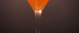 Algonquin Drink
