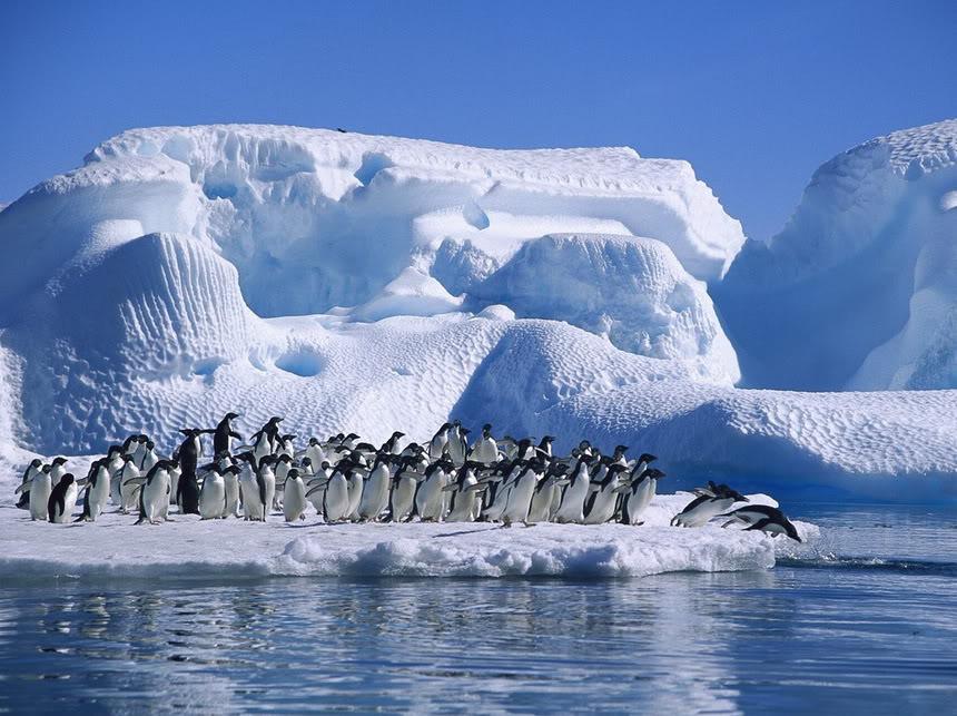 Antarctica tourist visit visa paris