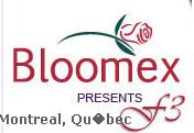 Bloomex Flowers Montreal