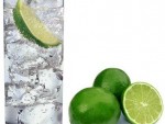 Gin and Tonic Cocktail