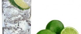 Gin and Tonic Cocktail
