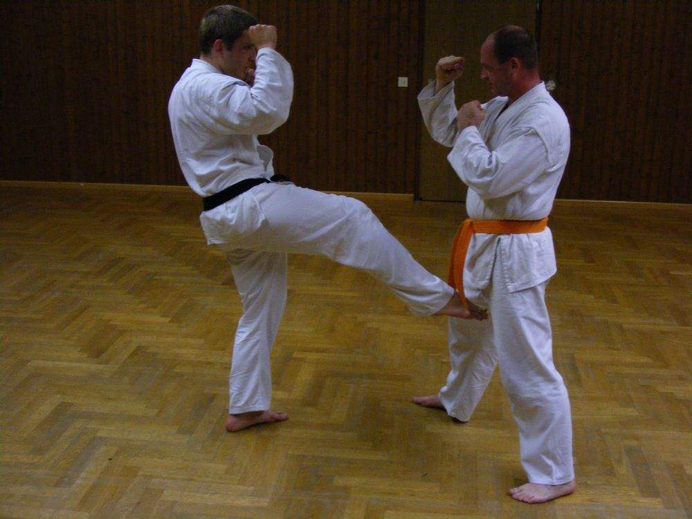How to Do Basic Karate Moves