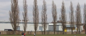 King Georges Field