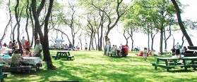 Parks in London for Picnic