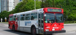 Ride a Public Bus in Ottawa