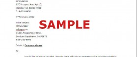 Sample of Emergency Leave Letter