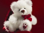 Valentine’s Day Teddy Bear Gift
