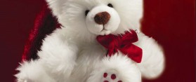 Valentine’s Day Teddy Bear Gift
