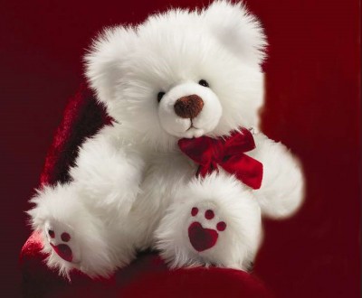 Gift Bear on Valentine   S Day Teddy Bear Gift Ideas