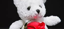 teddy bear