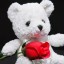 teddy bear