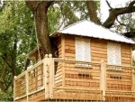 Treehouse