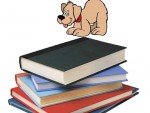 Dissertation Acknowledgement