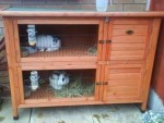 Rabbit Hutch