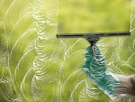 Windows and Glass Cleaner