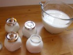 Making Your Own Yogurt