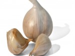 Celebrating Garlic Day