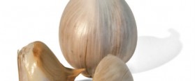 Celebrating Garlic Day