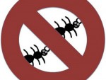Getting Rid of Ants