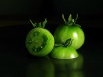 Ripening Tomatoes