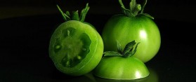 Ripening Tomatoes