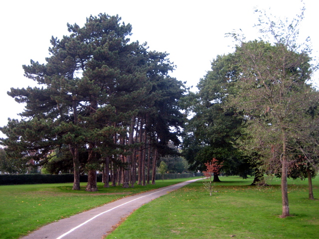 Avenue Road Tram Stop London