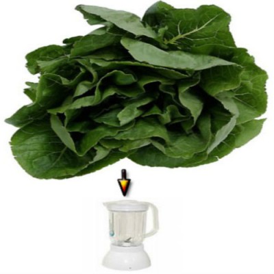How to Extract DNA from Spinach DNA extraction from Spinach