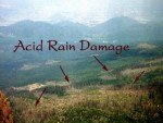 Damages of Acid Rain