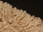 Get Rid Of Carpet Moths
