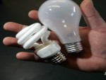 Light Bulbs Comparison