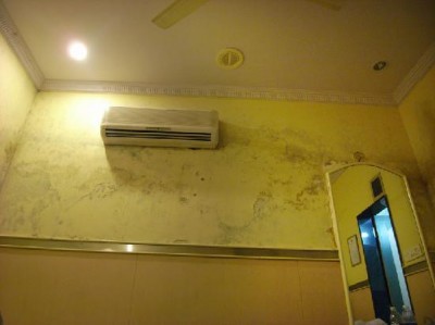 How to Get Rid Of Damp On Walls damp