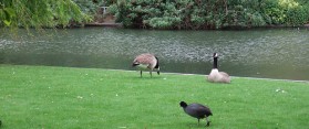 Southwark Park, London