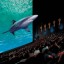 4D Technology Will Soon Hit 200 US Cinemas