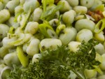Broad Bean Salad Recipe