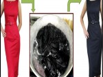 Dye Red Clothing Black
