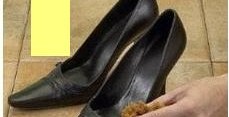 Shoe Stretch