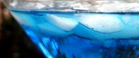 Polar Bear Cocktail recipe
