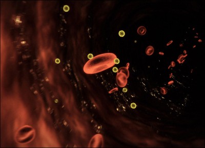 How to Kill Cotton Parasites on Skin and Clothes babesiosis babesia