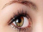 eyebrow
