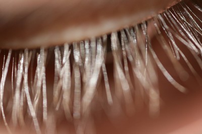 how to make eyelashes grow long and thicker