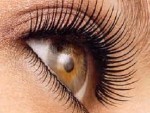 lashes