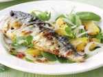 Mackerel Orange and Parsley Salad Recipe